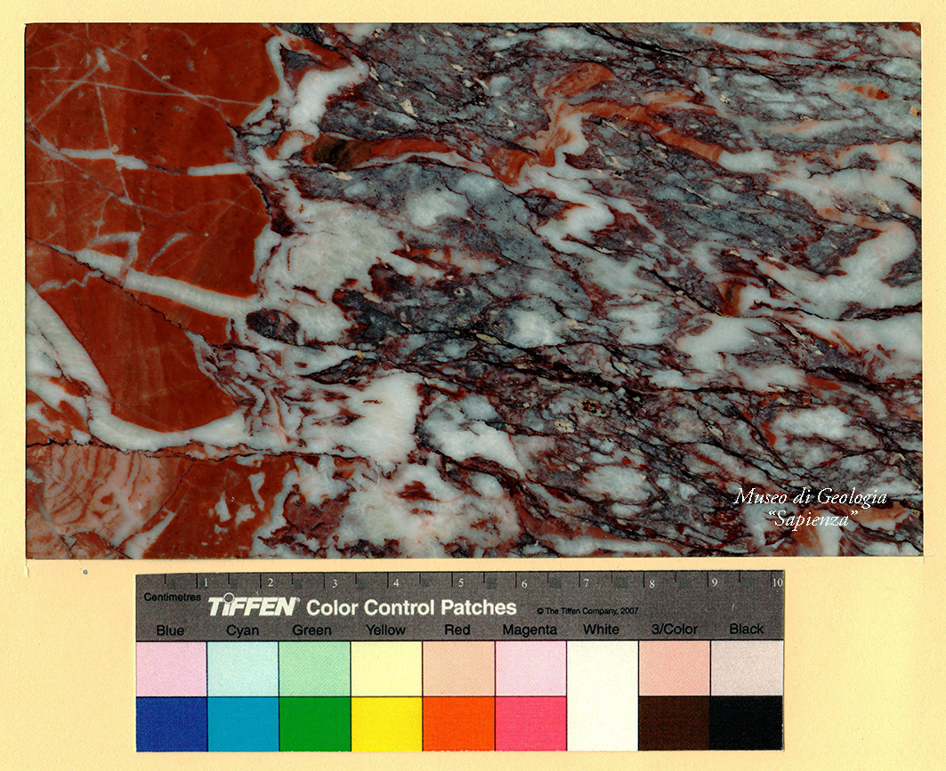 roccia (esemplare)