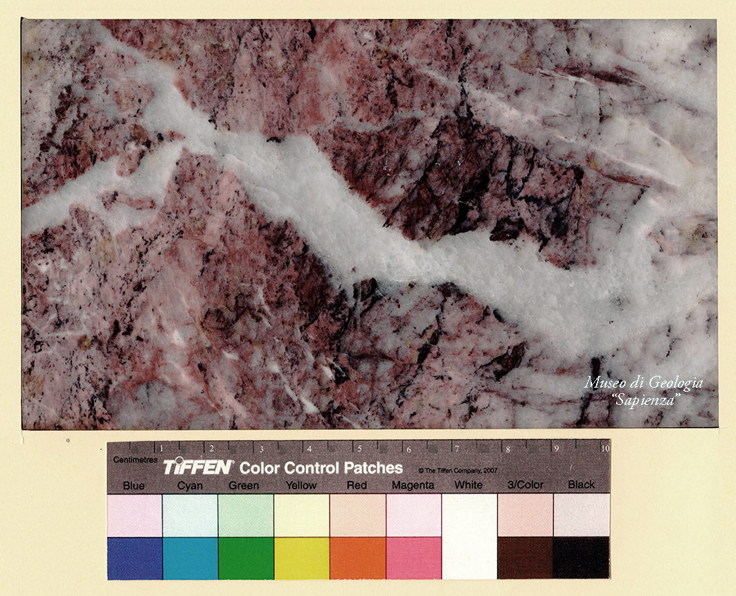 roccia (esemplare)