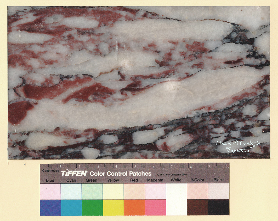 roccia (esemplare)