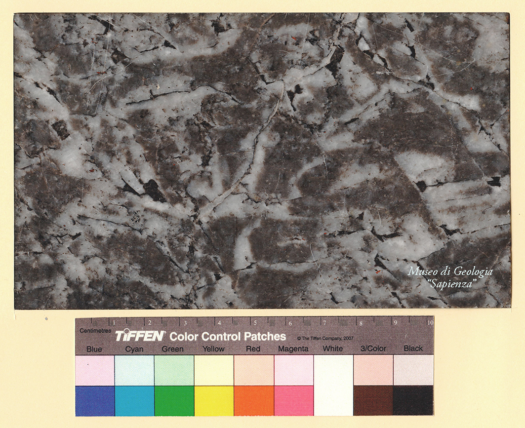 roccia (esemplare)