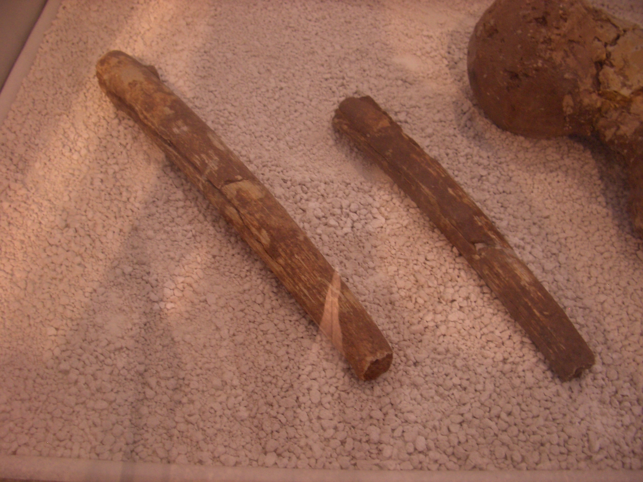 fossile (Difesa, serie)