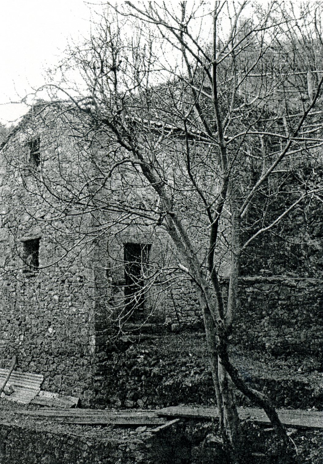 Antico Molino a turbina in località Belpiano (mulino, ad acqua) - Borzonasca (GE)  (XVIII; XIX)