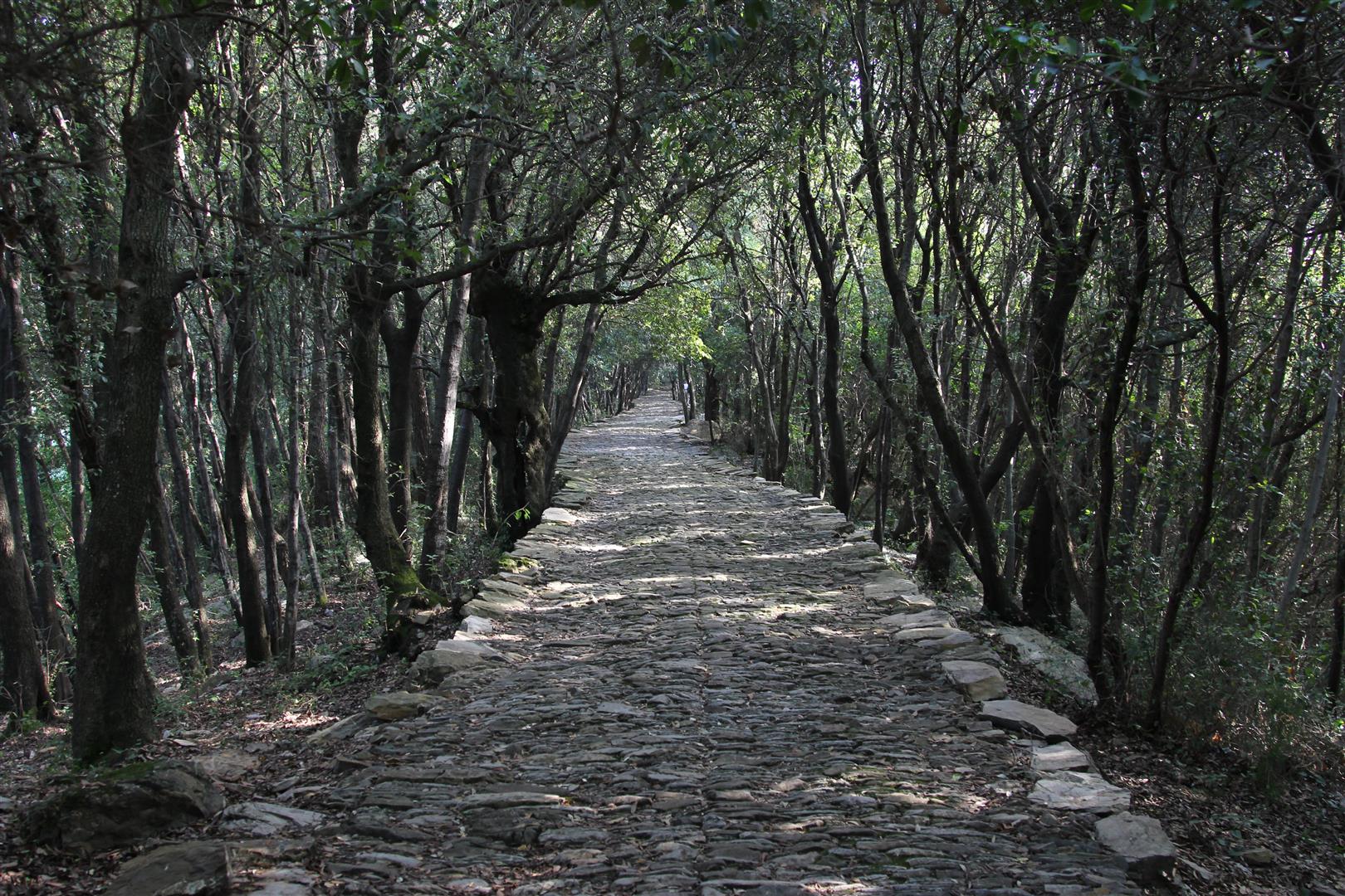Salita al Santuario di Montallegro (mulattiera) - Rapallo (GE)  (XVI; XVI; XVI; XVII)