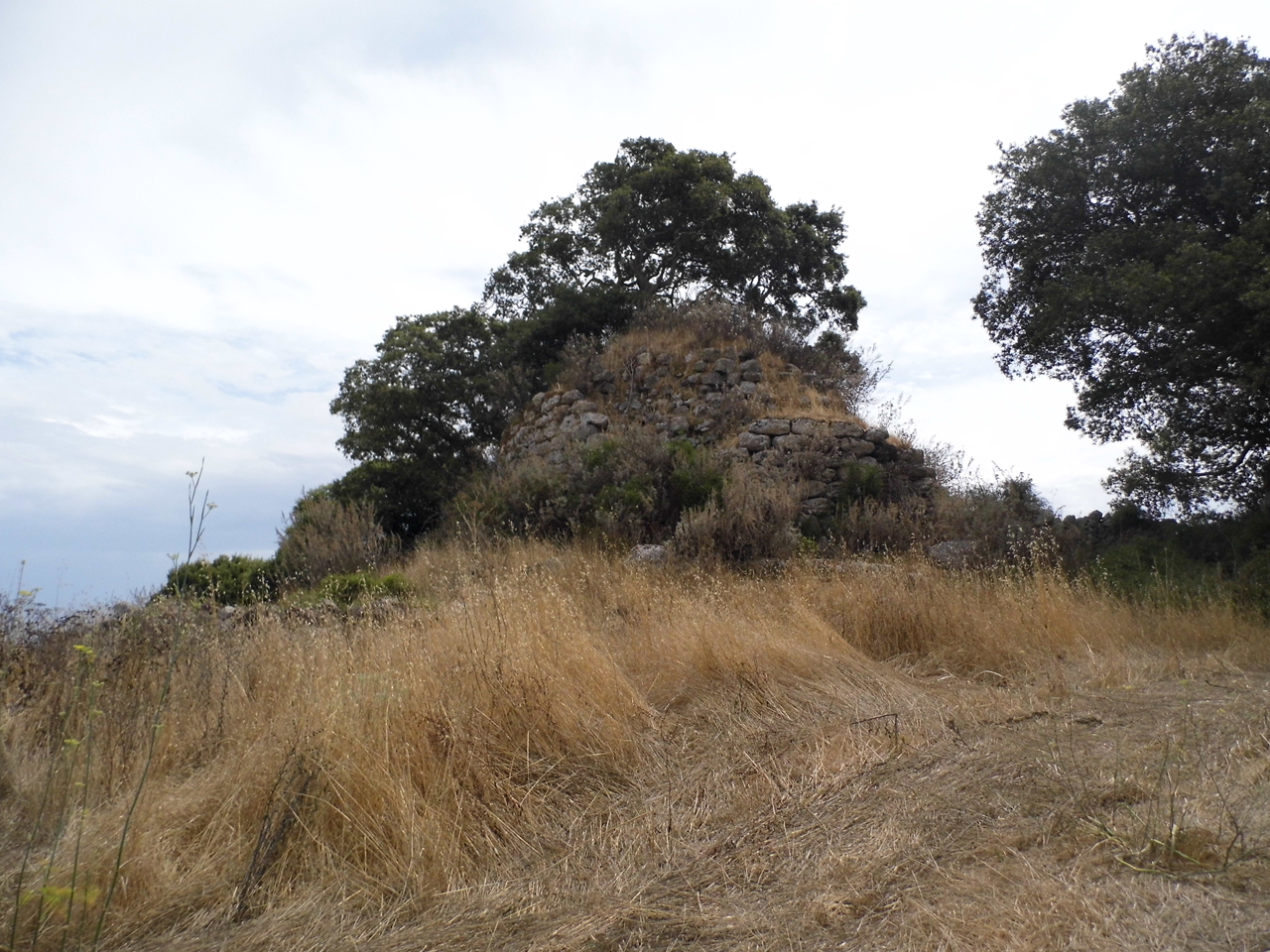 Nuraghe donna ciccia (nuraghe, struttura di fortificazione)