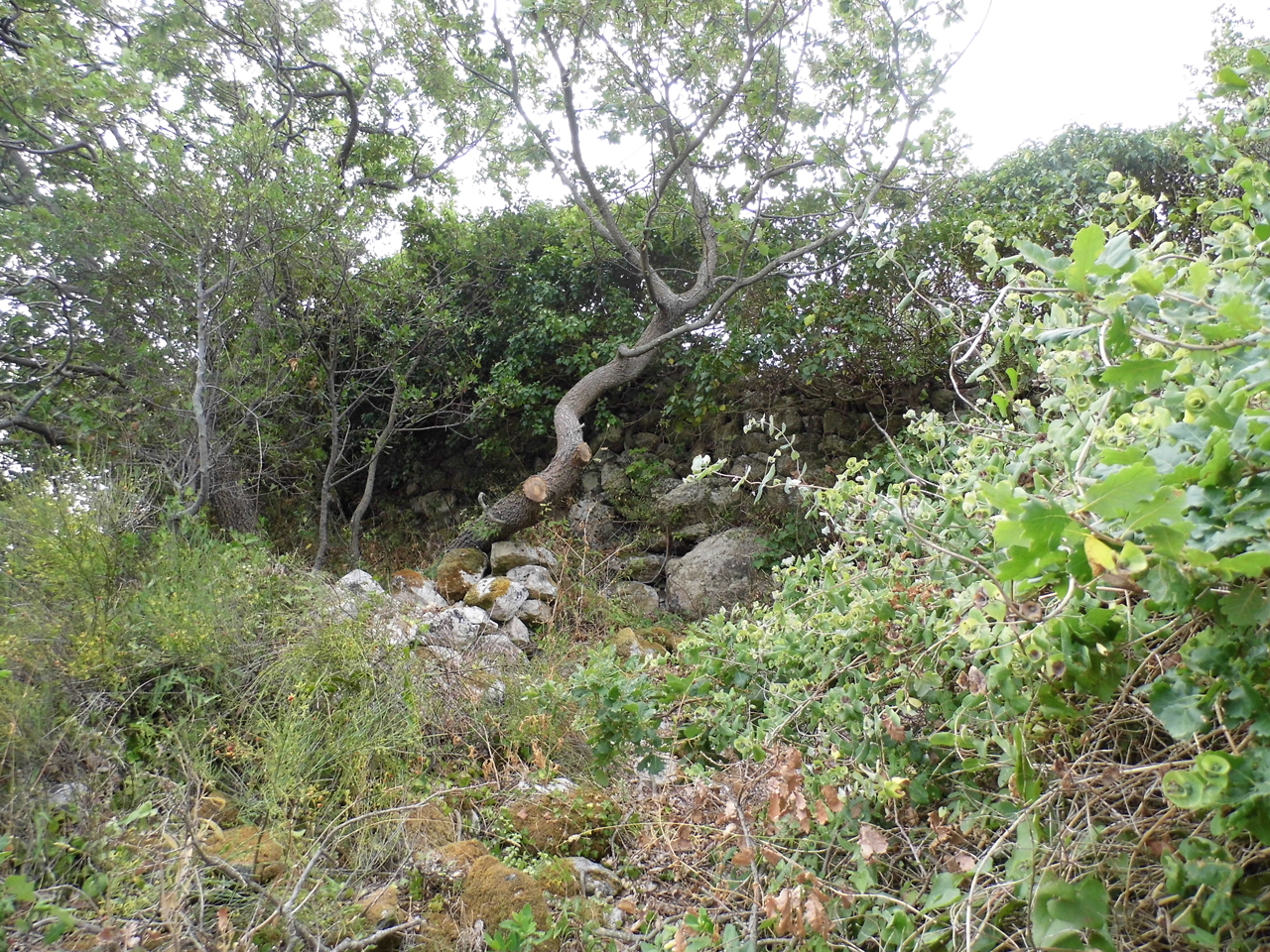 Nuraghe ispada (nuraghe, struttura di fortificazione)