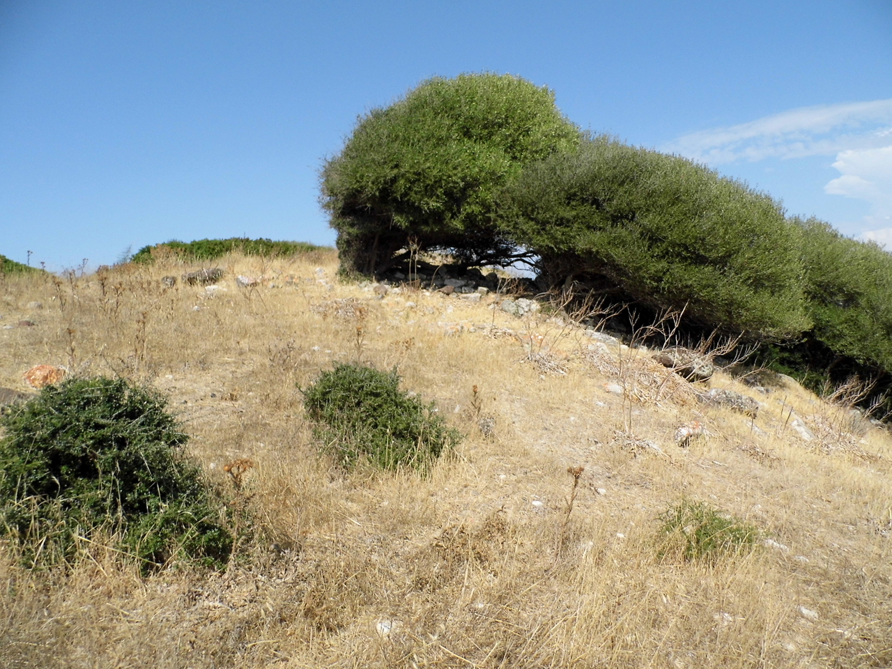 Nuraghe monte ultana (nuraghe, struttura di fortificazione)