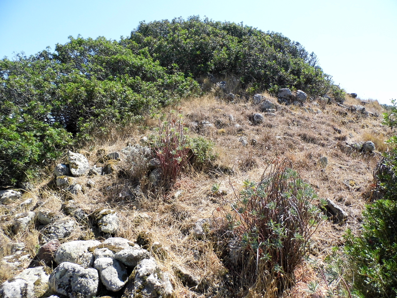 Nuraghe pedra mulchitta (nuraghe, struttura di fortificazione)