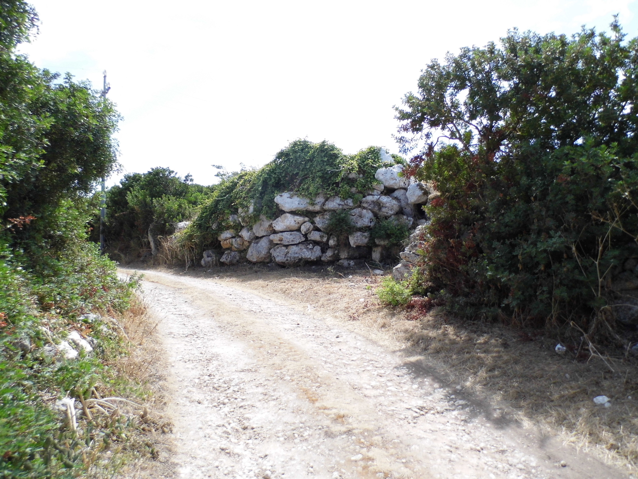 Nuraghe conchi (nuraghe, struttura di fortificazione)