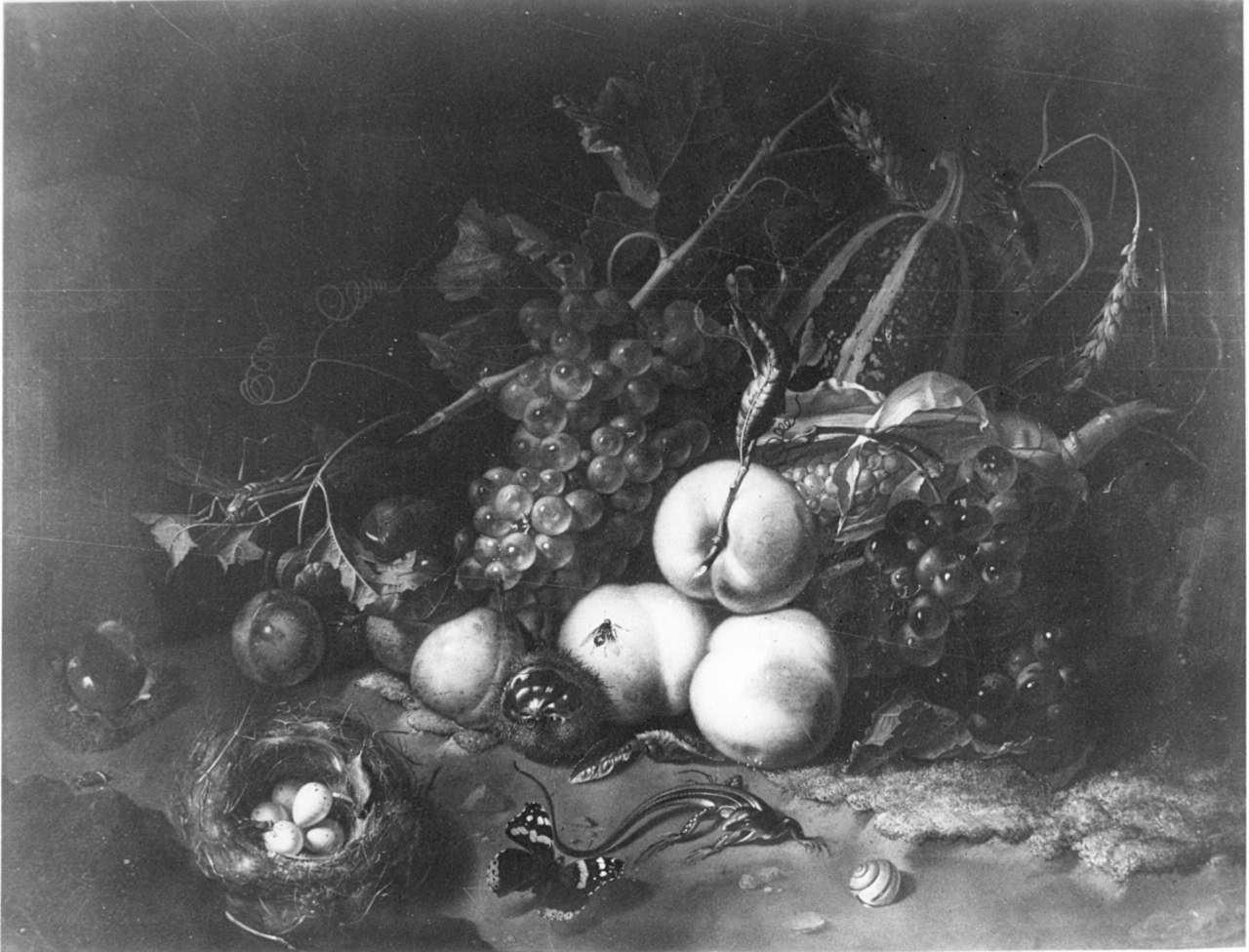 natura morta con frutta (dipinto) di Ruysch Rachel (sec. XVIII)
