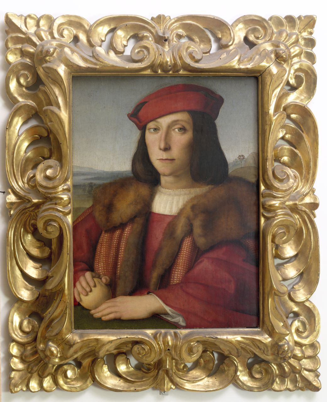 ritratto di Francesco Maria della Rovere (dipinto) di Raffaello (sec. XVI)
