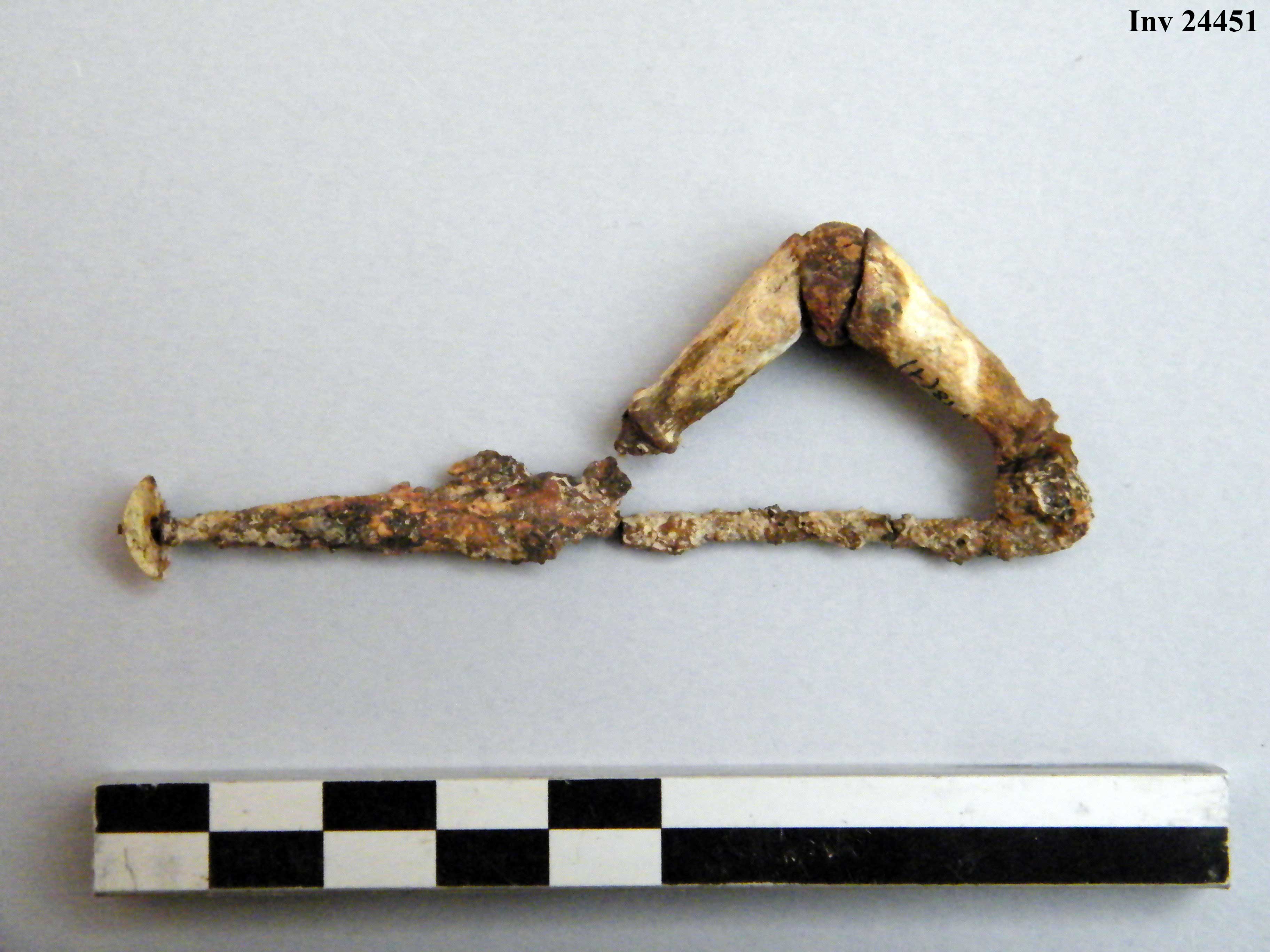 fibula, ad arco rivestito - Piceno IVb (V a.C)
