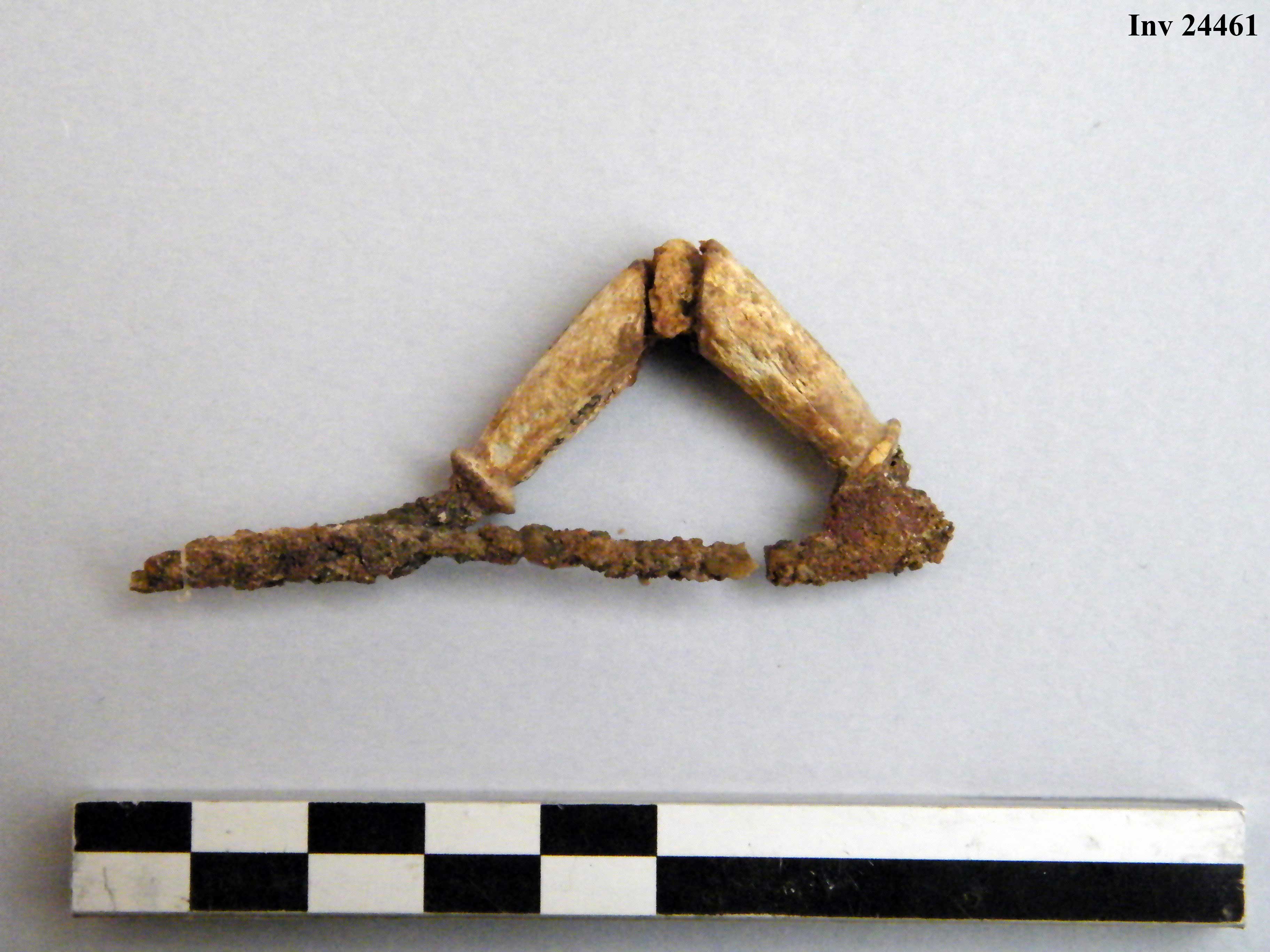 fibula, ad arco rivestito - Piceno IVb (V a.C)