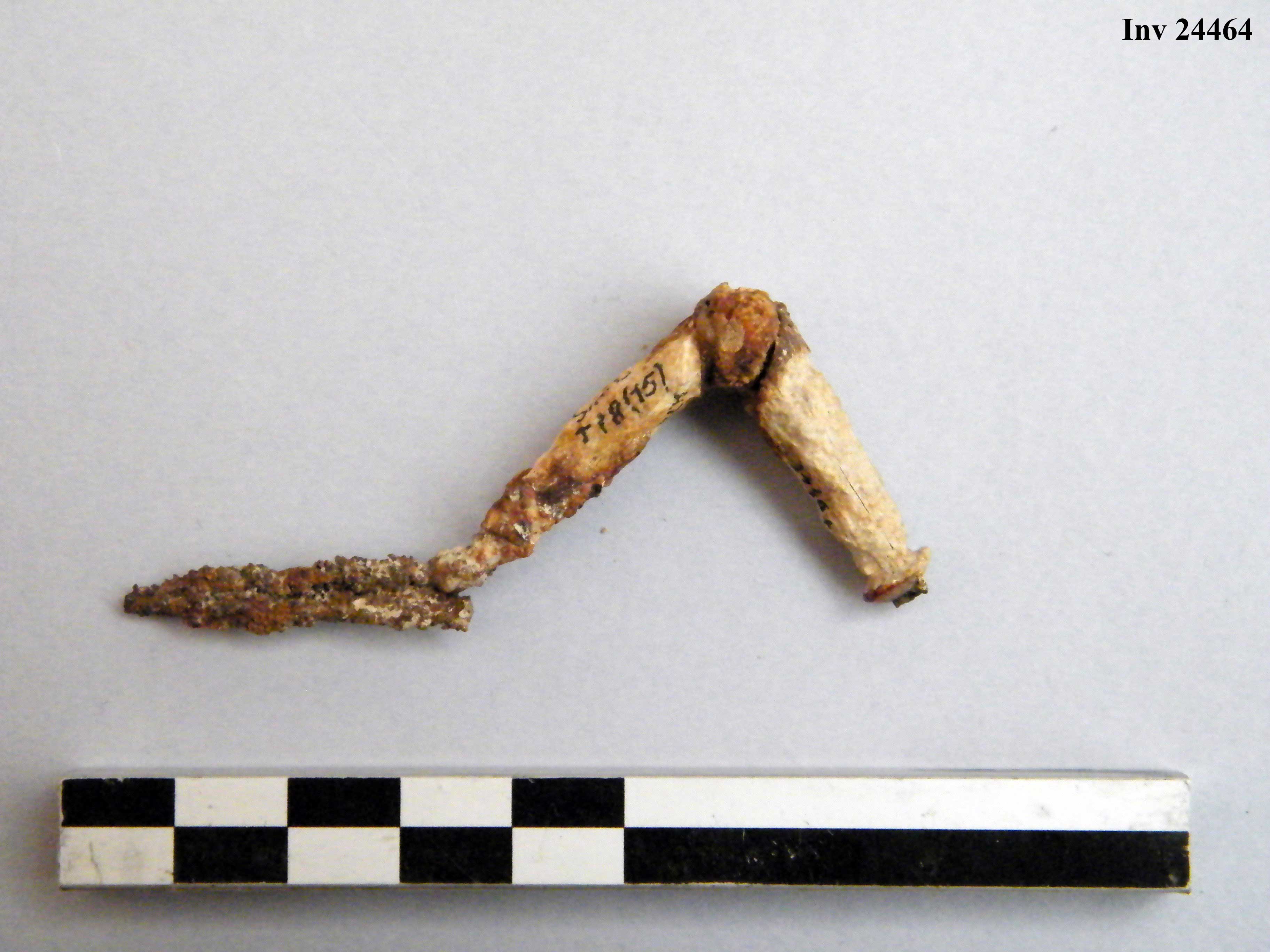 fibula, ad arco rivestito - Piceno IVb (V a.C)