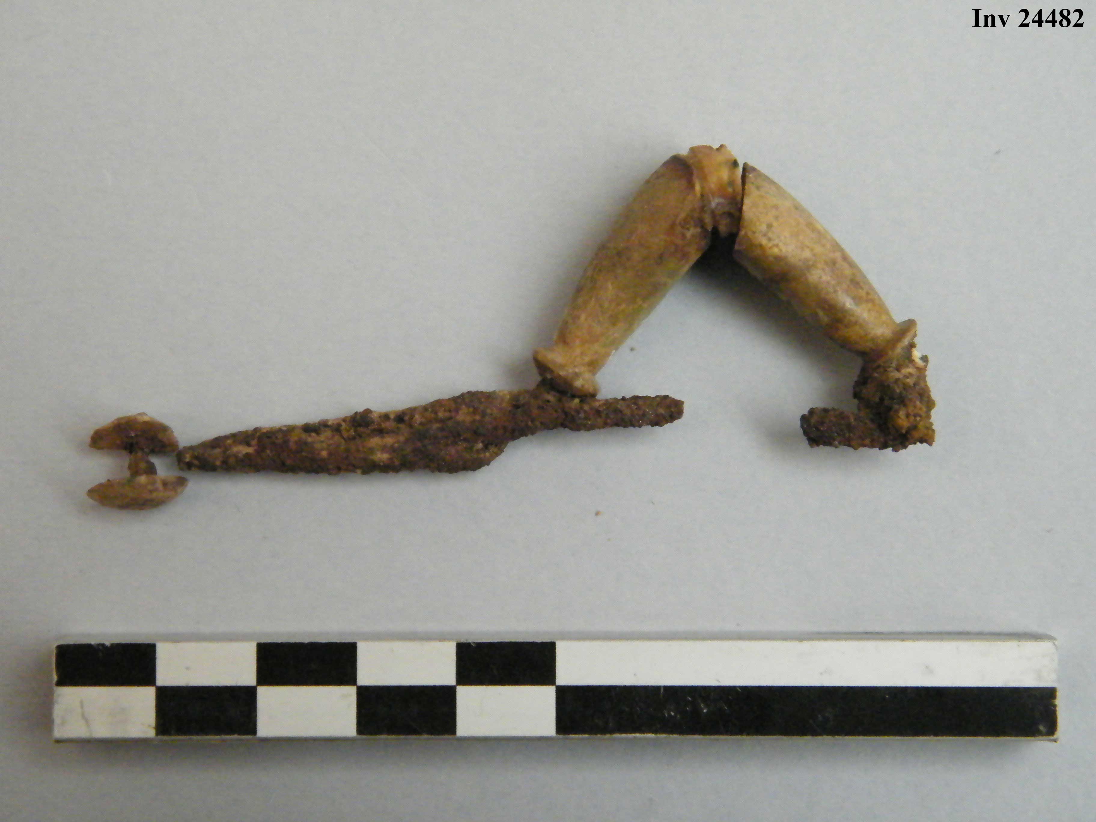 fibula, ad arco rivestito - Piceno IVb (V a.C)