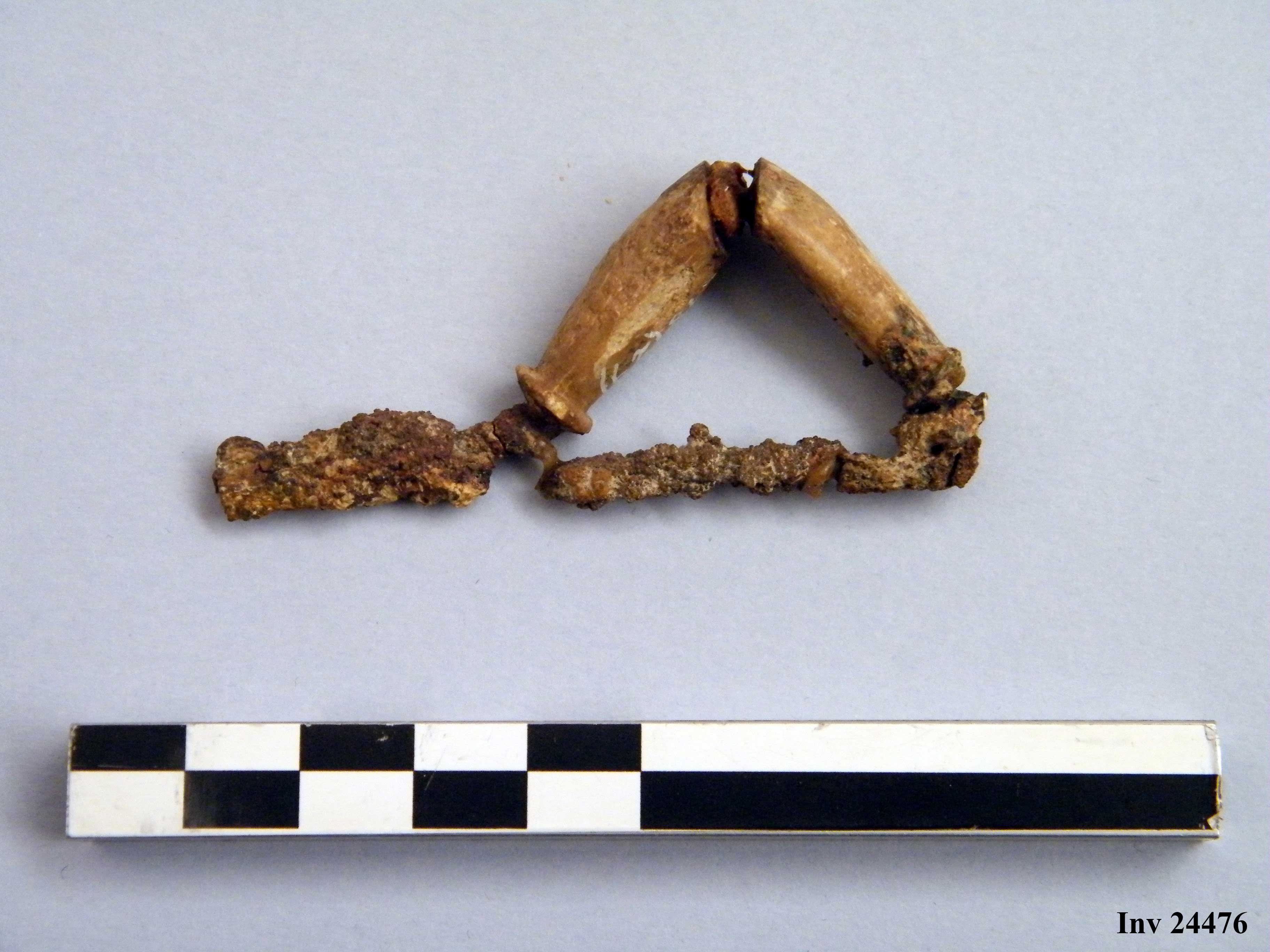 fibula, ad arco rivestito - Piceno IVb (V a.C)