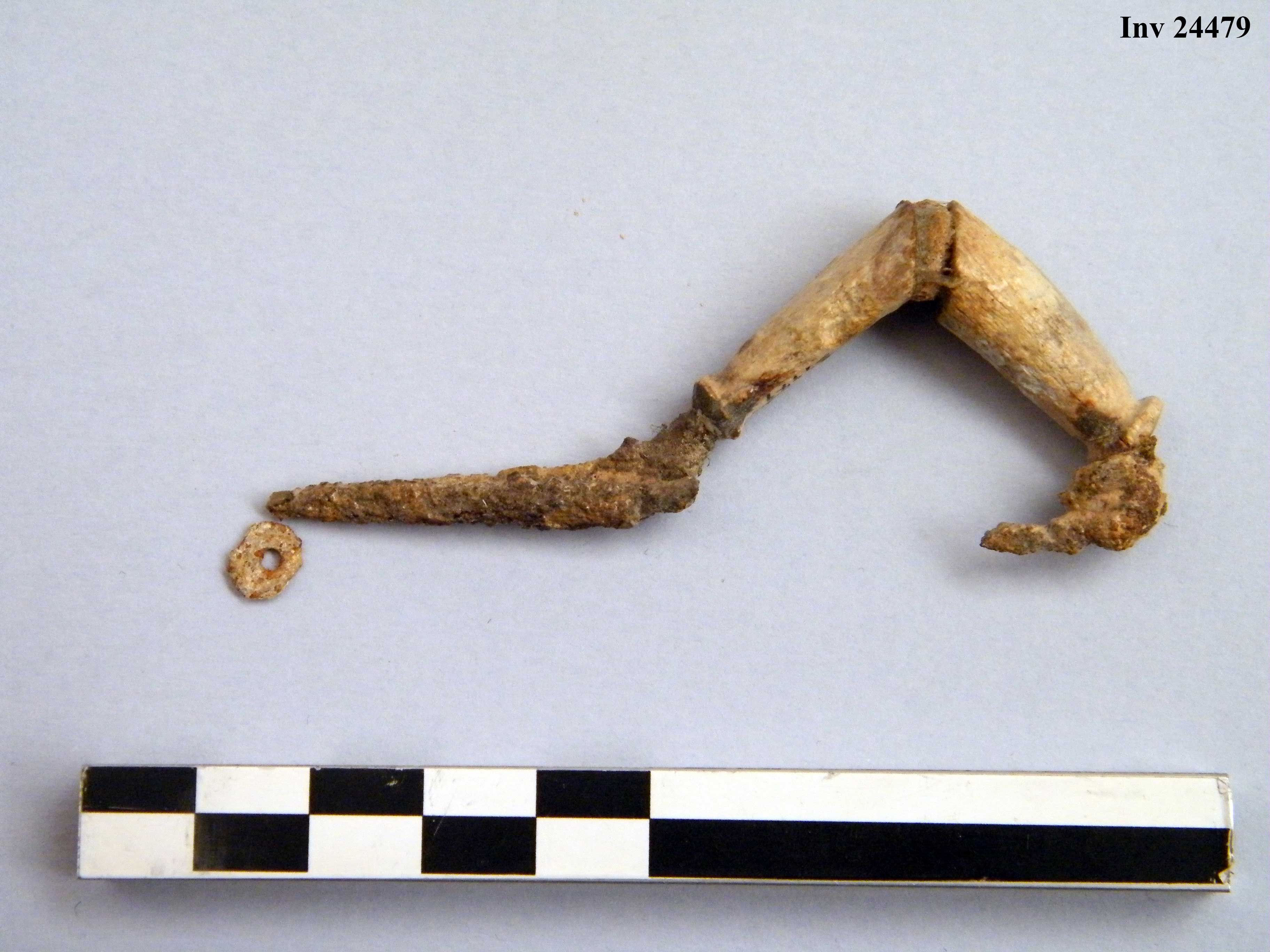fibula, ad arco rivestito - Piceno IVb (V a.C)