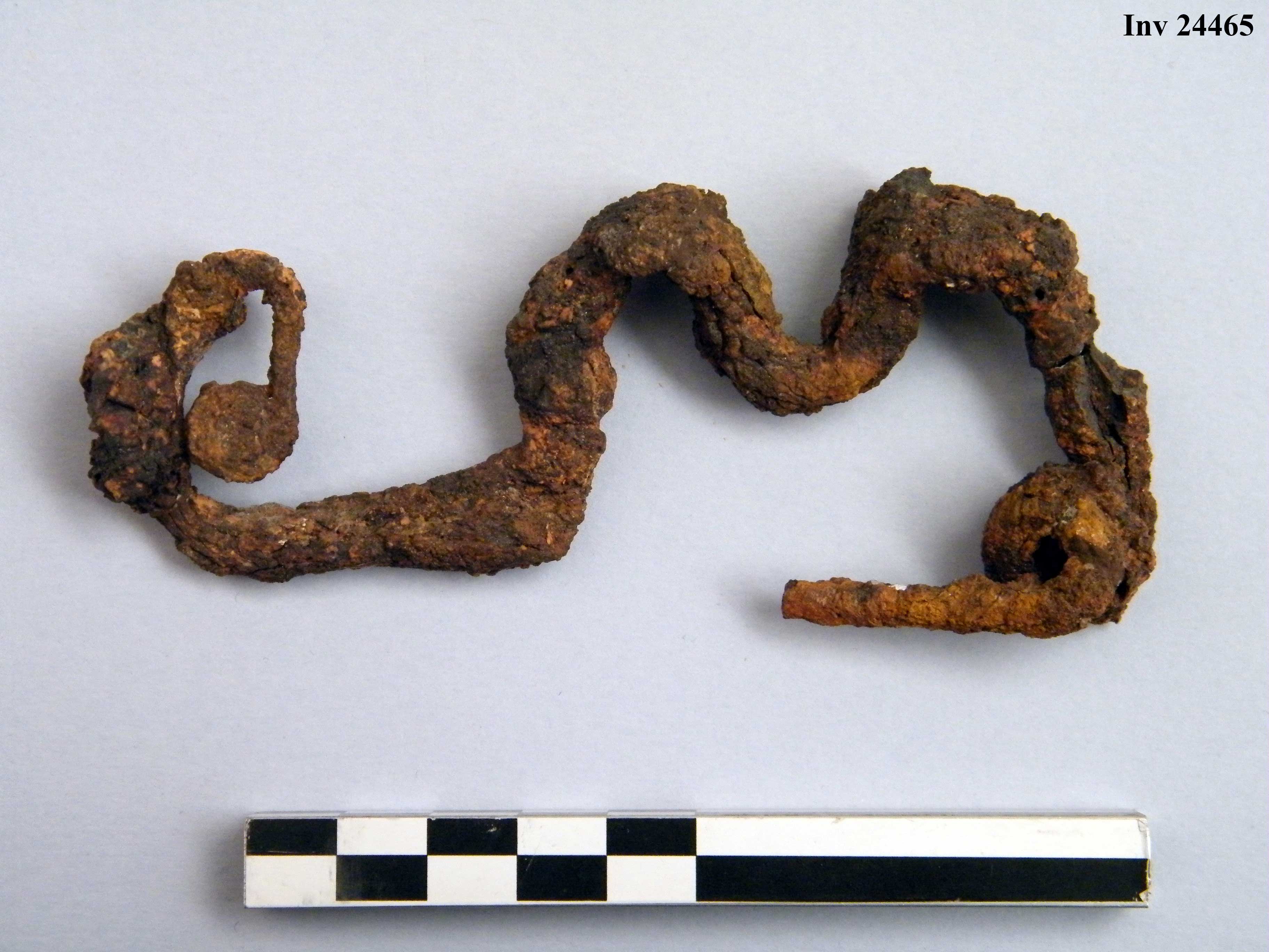fibula, con arco a due gobbe - Piceno IVb (V a.C)