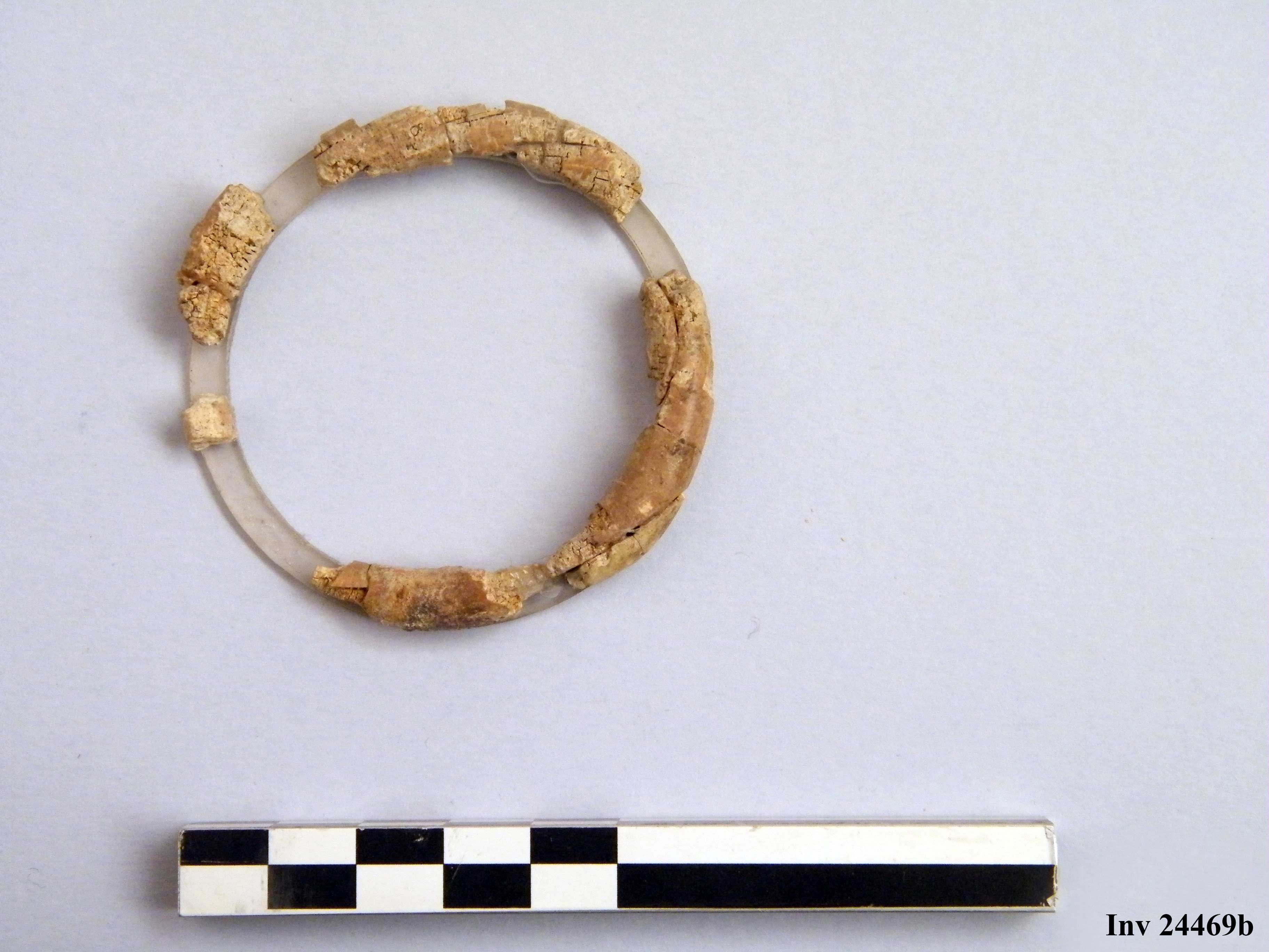 anello, a verga semplice - Piceno IVb (V a.C)