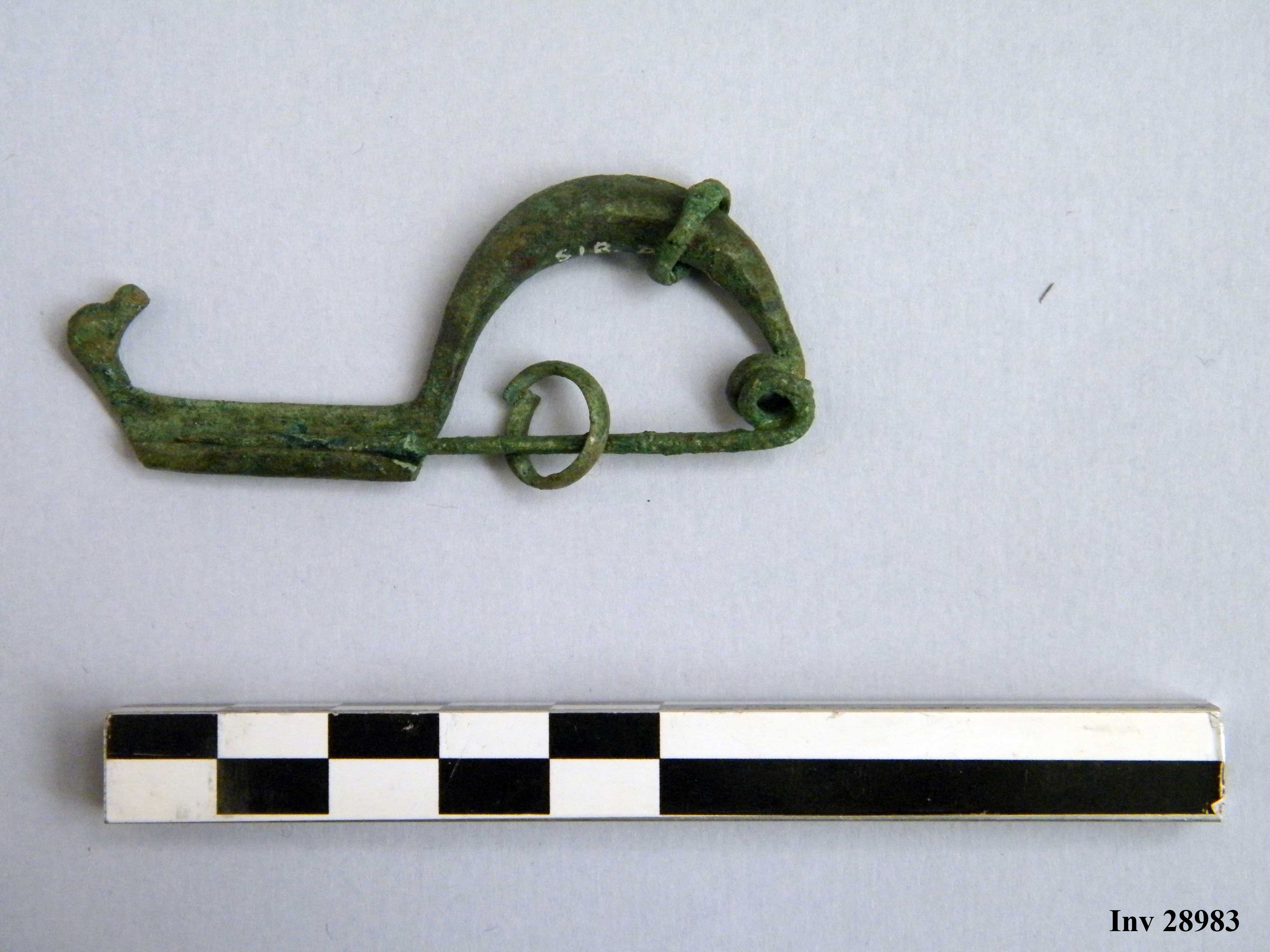 fibula, a staffa lunga con protome ornitomorfa - Piceno IVa (VI a.C)