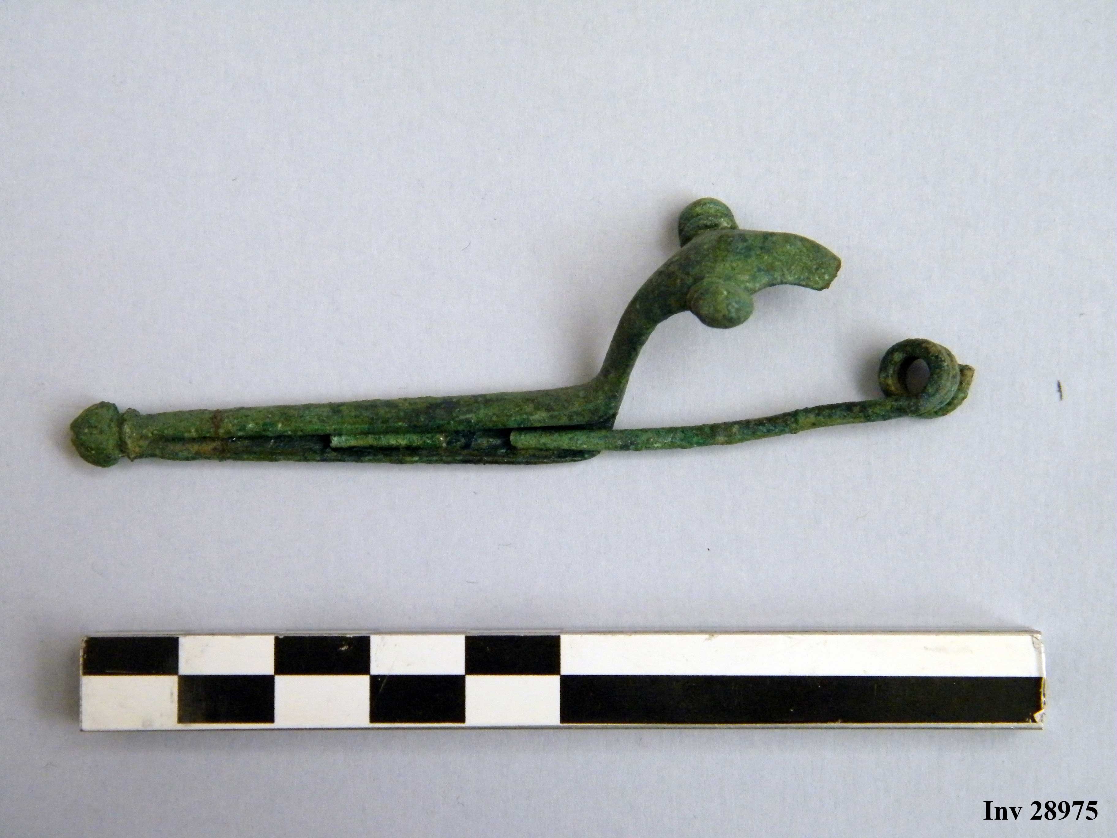 fibula, a due bottoni - Piceno IVa (VI a.C)