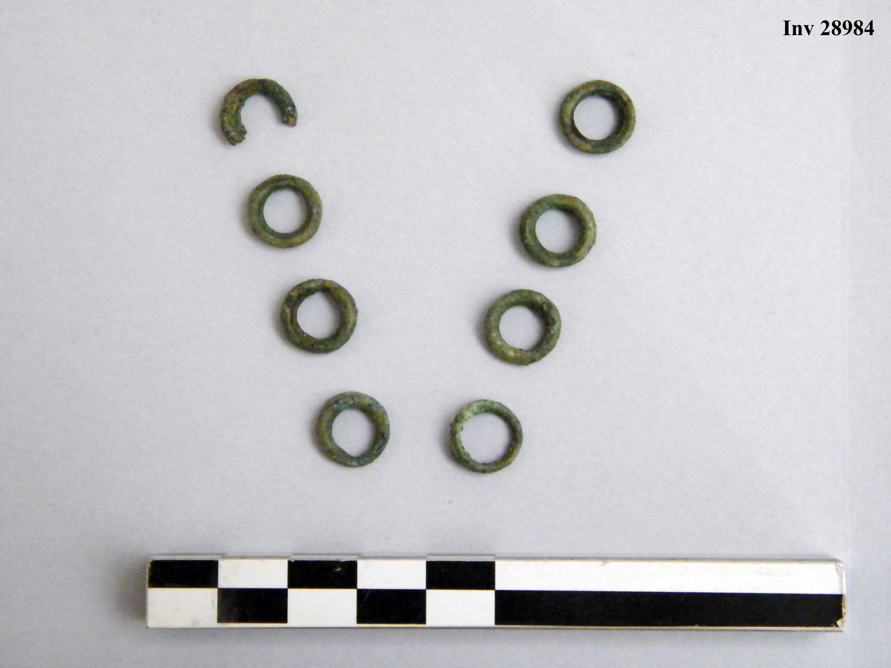 anello/ serie - Piceno IVa (VI a.C)