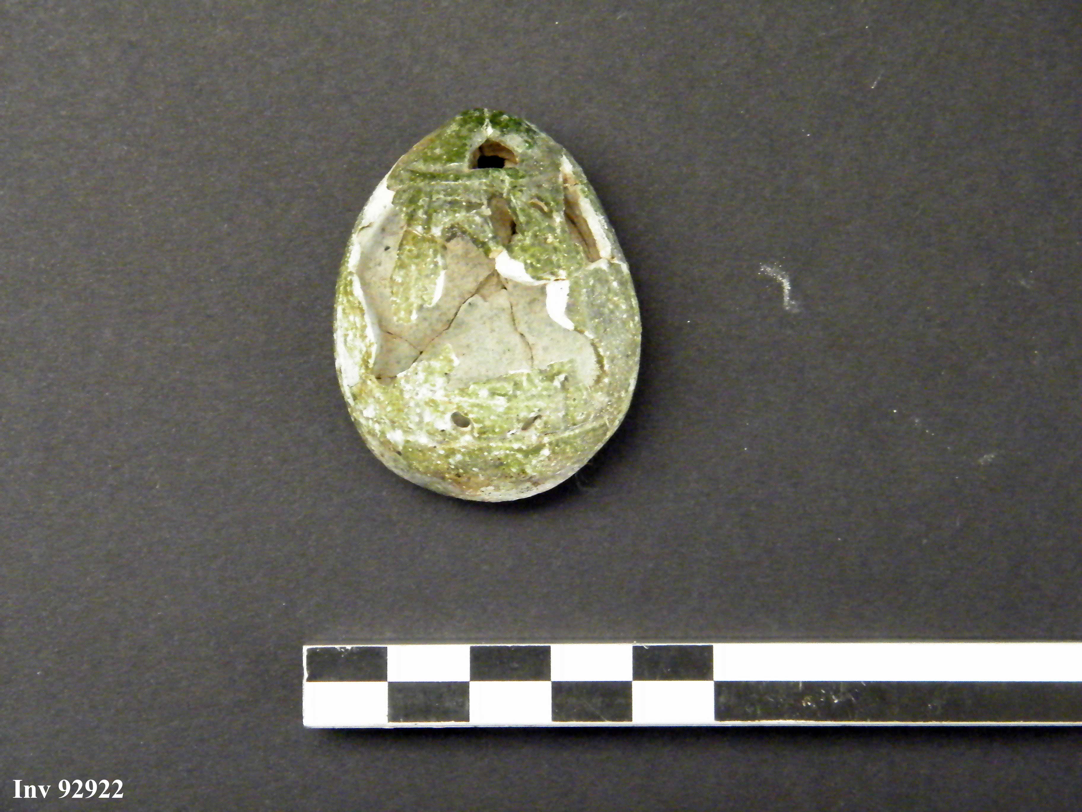 amuleto, a ciprea (VII a.C)