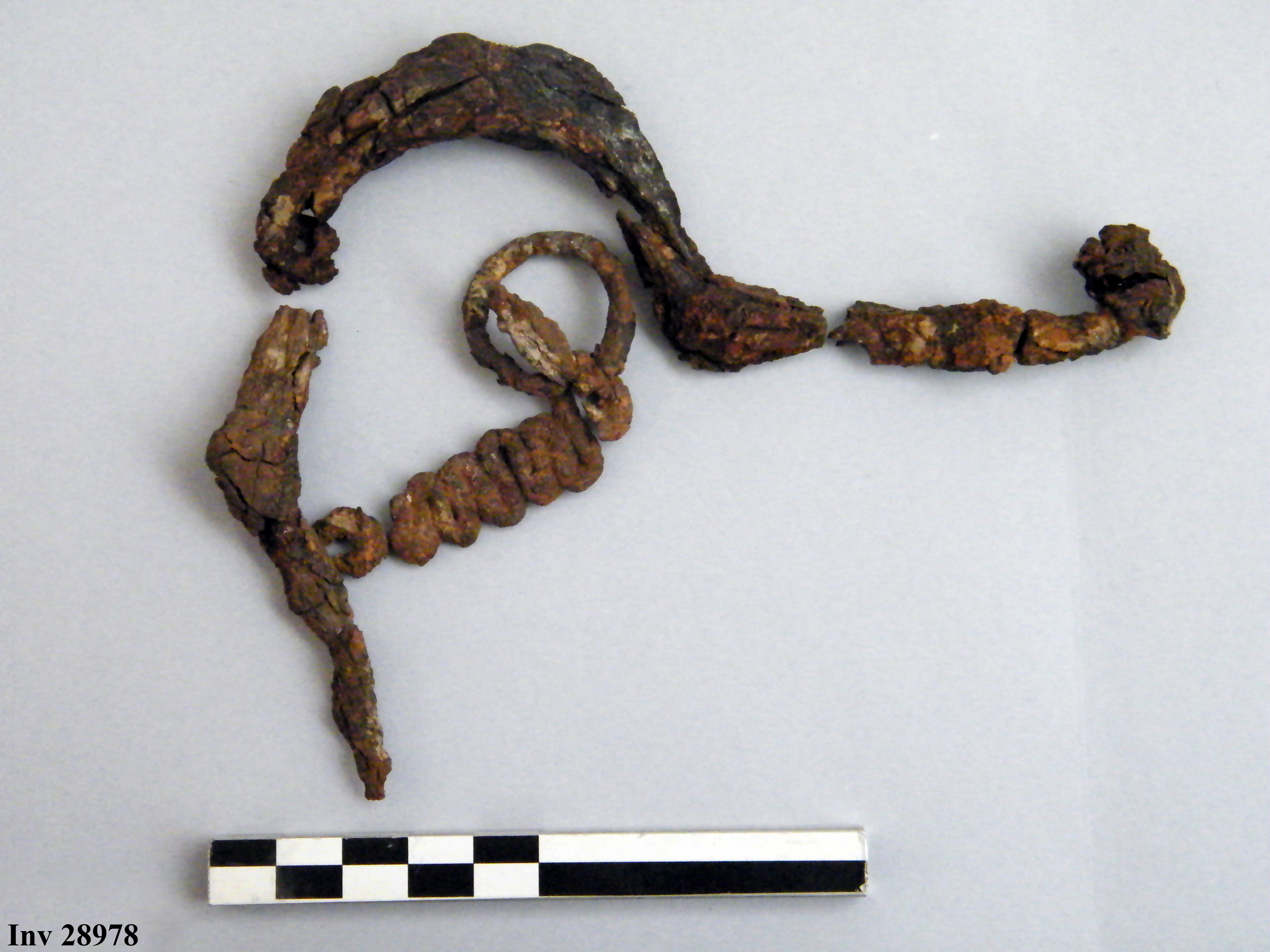 fibula, ad arco ribassato - Piceno IVa (VI a.C)