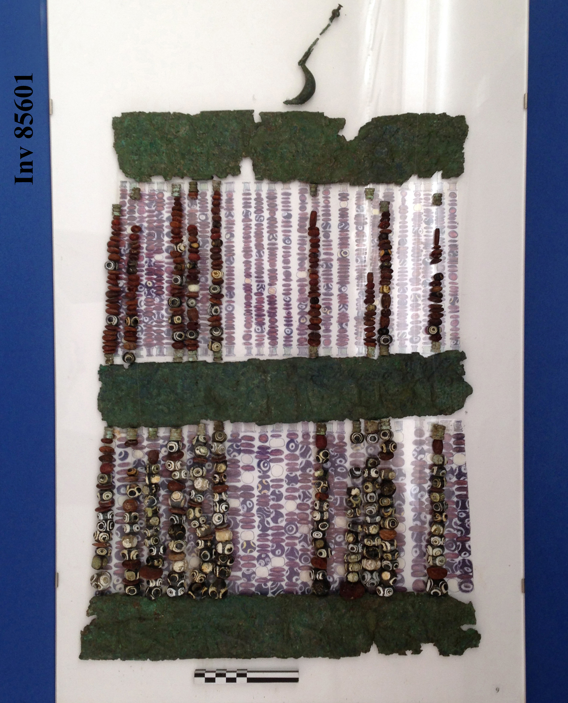 fibula, a sanguisuga, con pettorale-pendaglio (fine VI a.C)