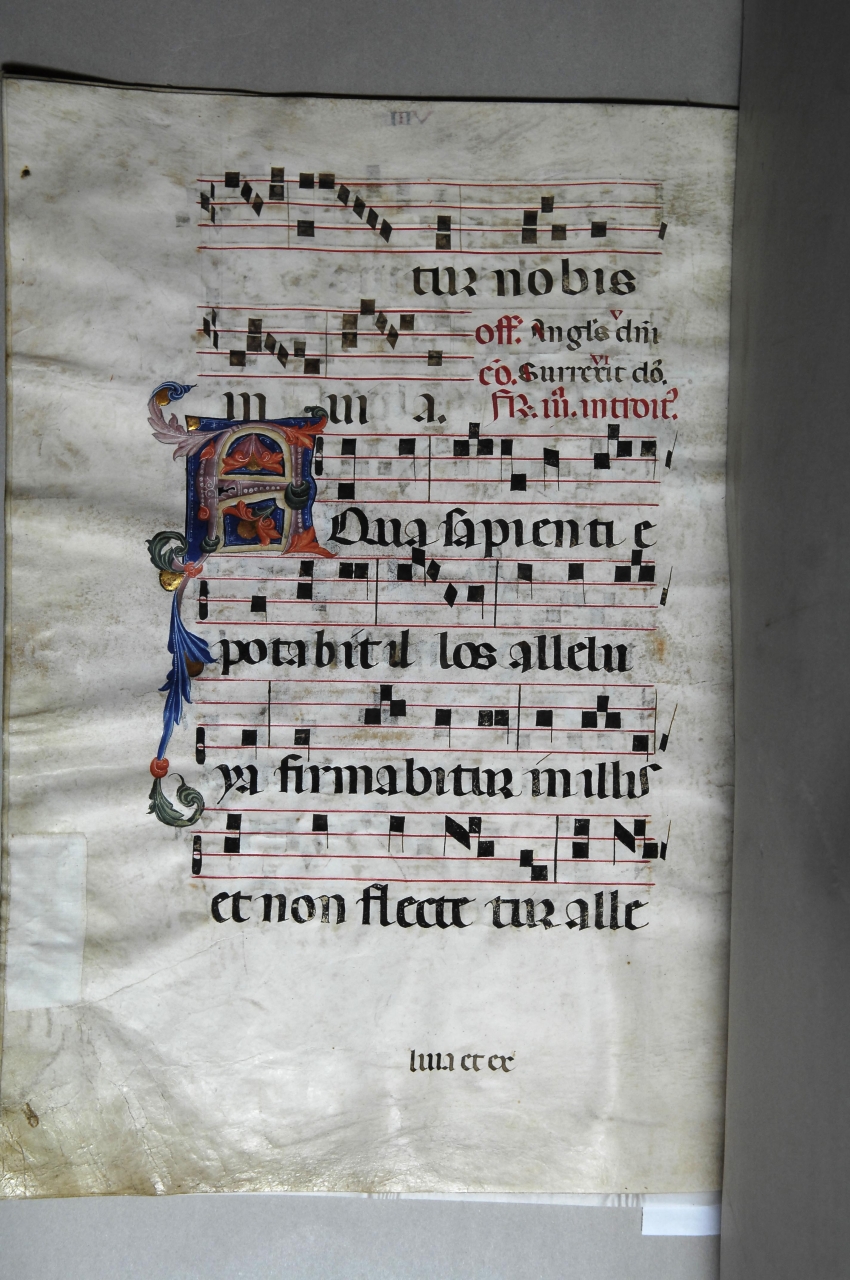 iniziale decorata (miniatura) - bottega pisana (ultimo quarto sec. XIV)