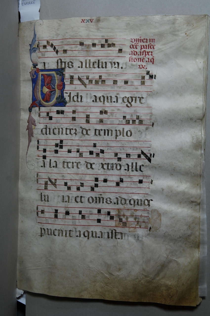 iniziale decorata (miniatura) - bottega pisana (ultimo quarto sec. XIV)