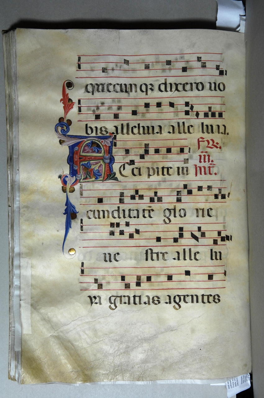 iniziale decorata (miniatura) - bottega pisana (ultimo quarto sec. XIV)