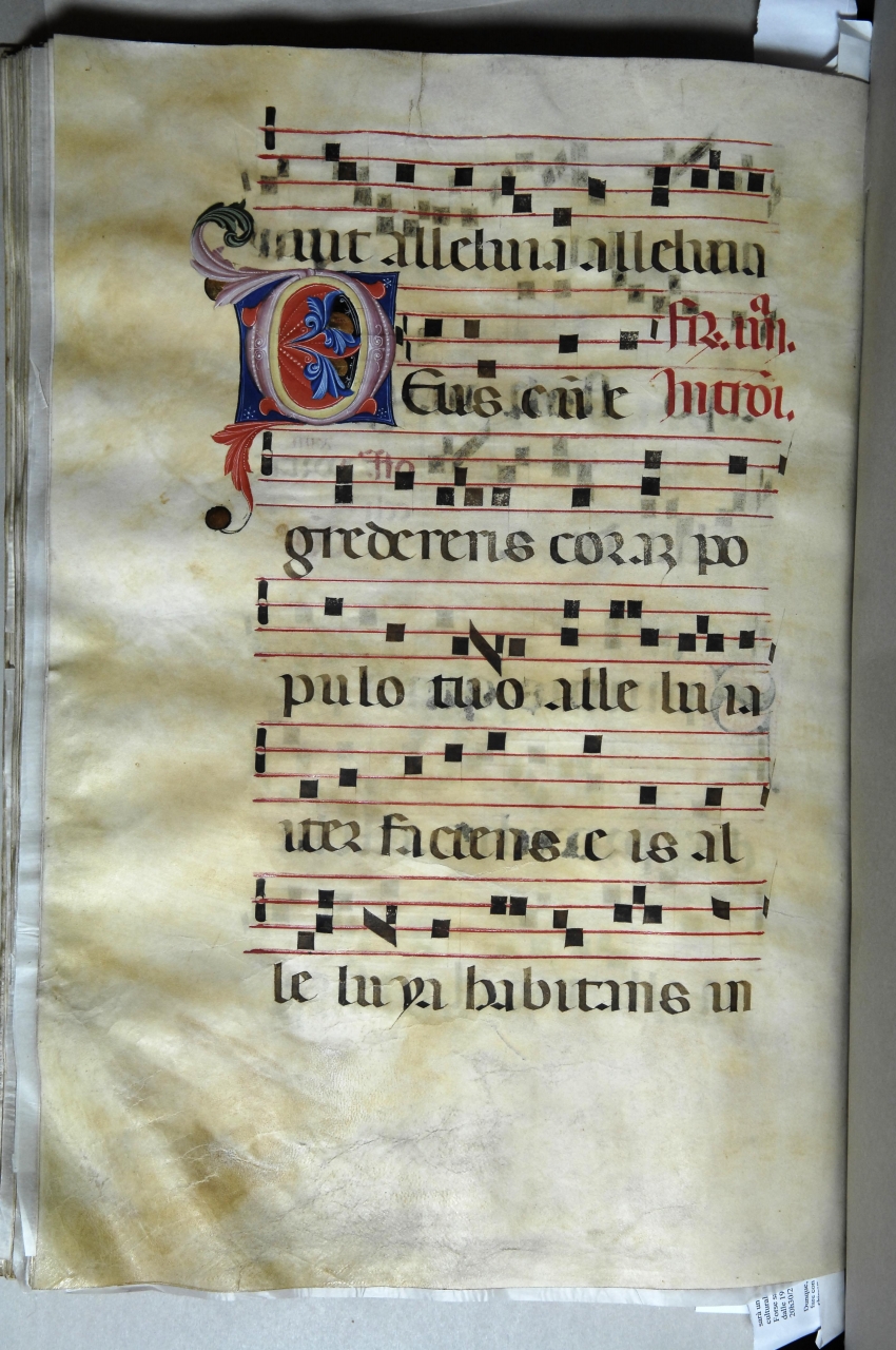 iniziale decorata (miniatura) - bottega pisana (ultimo quarto sec. XIV)