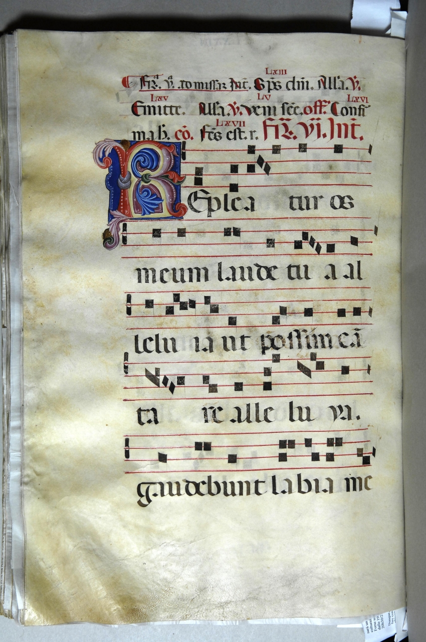iniziale decorata (miniatura) - bottega pisana (ultimo quarto sec. XIV)