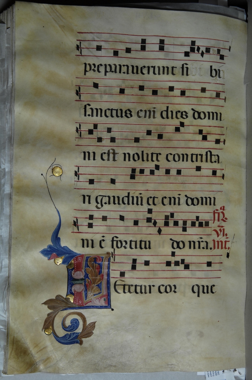 iniziale decorata (miniatura) - bottega pisana (ultimo quarto sec. XIV)