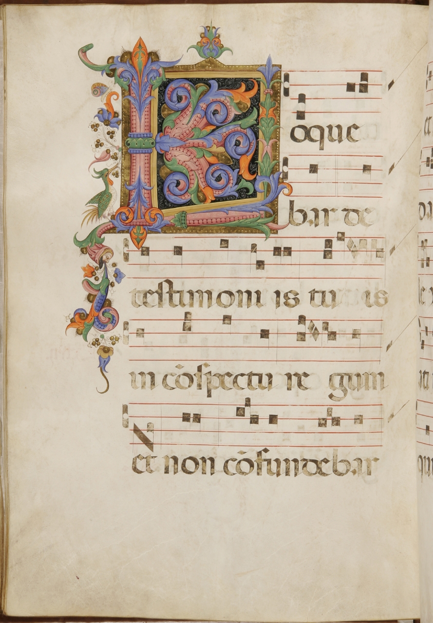 iniziale decorata (miniatura) di Torelli Filippo (sec. XV)