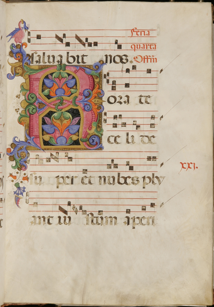 iniziale decorata (miniatura) di Torelli Filippo (sec. XV)