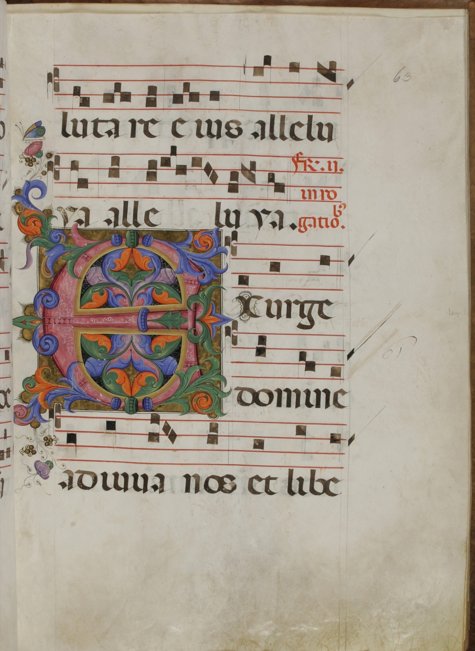 iniziale decorata (miniatura) di Torelli Filippo (metà sec. XV)