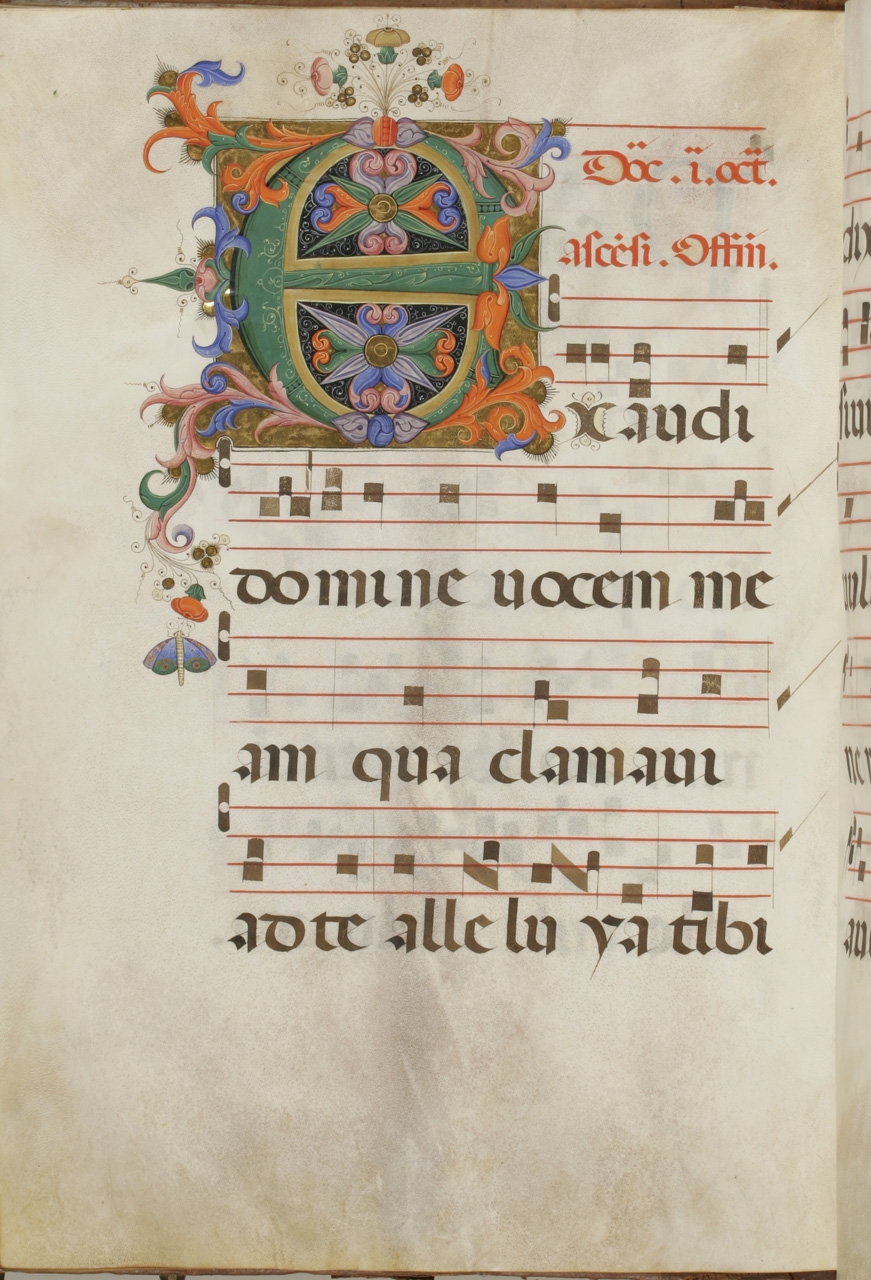 iniziale decorata (miniatura) di Torelli Filippo (metà sec. XV)