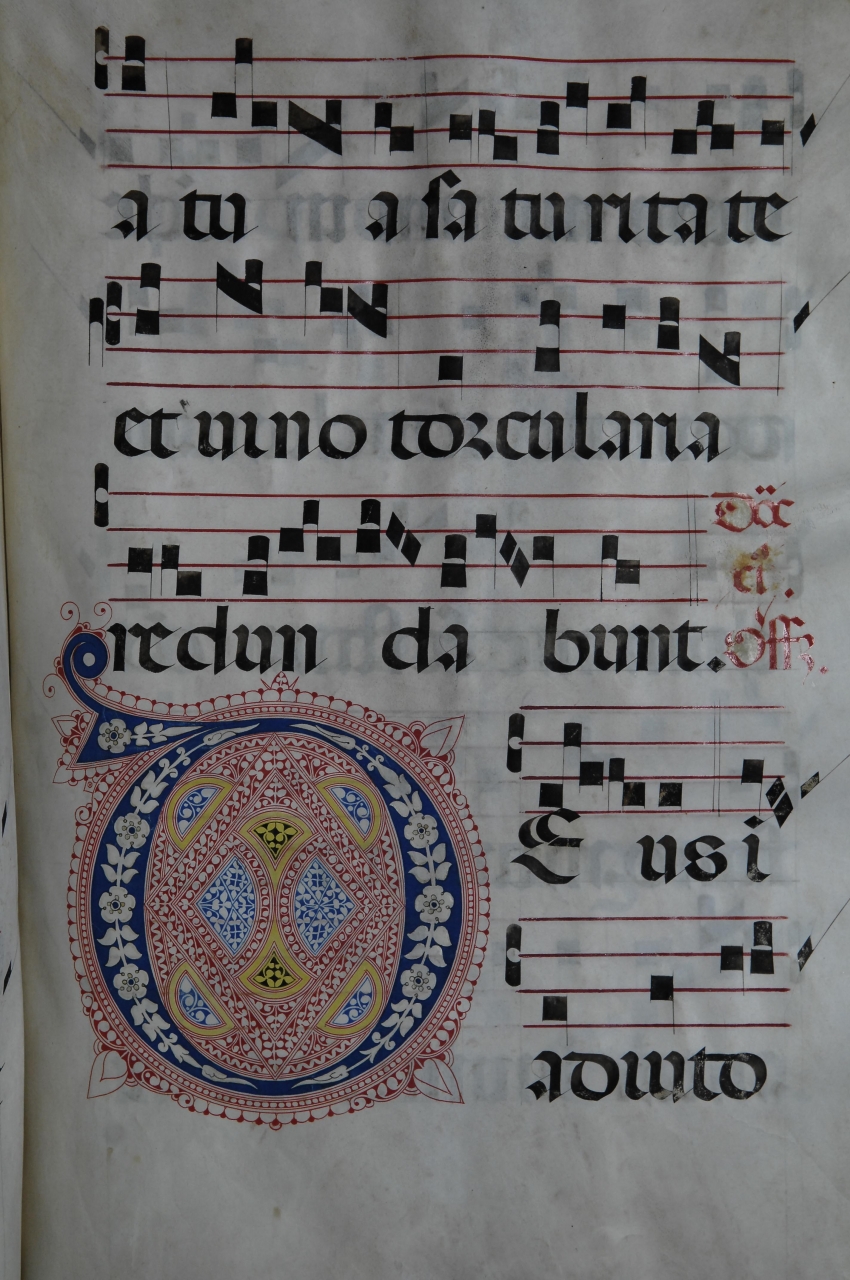 iniziale filigranata (miniatura) di Torelli Filippo (bottega) (metà sec. XV)