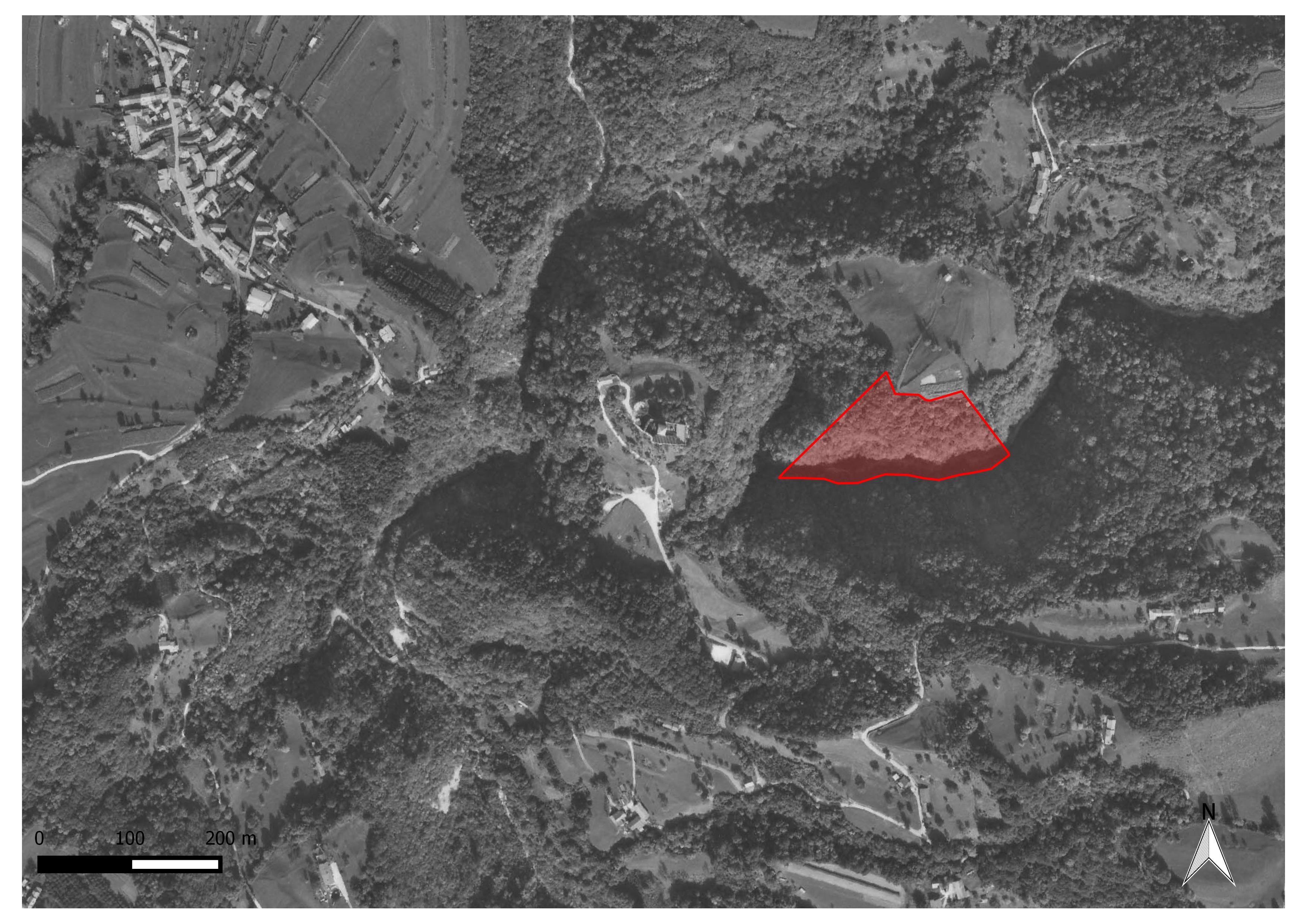 Castello di Castelvint (struttura di fortificazione, castello militare) - Mel (BL)  (sec. VI d.C. - età medievale)