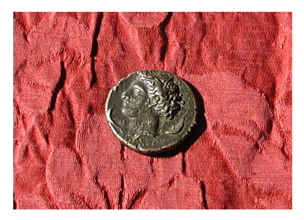 moneta - tetradracma - ambito siracusano (secc. VI-V a.C)