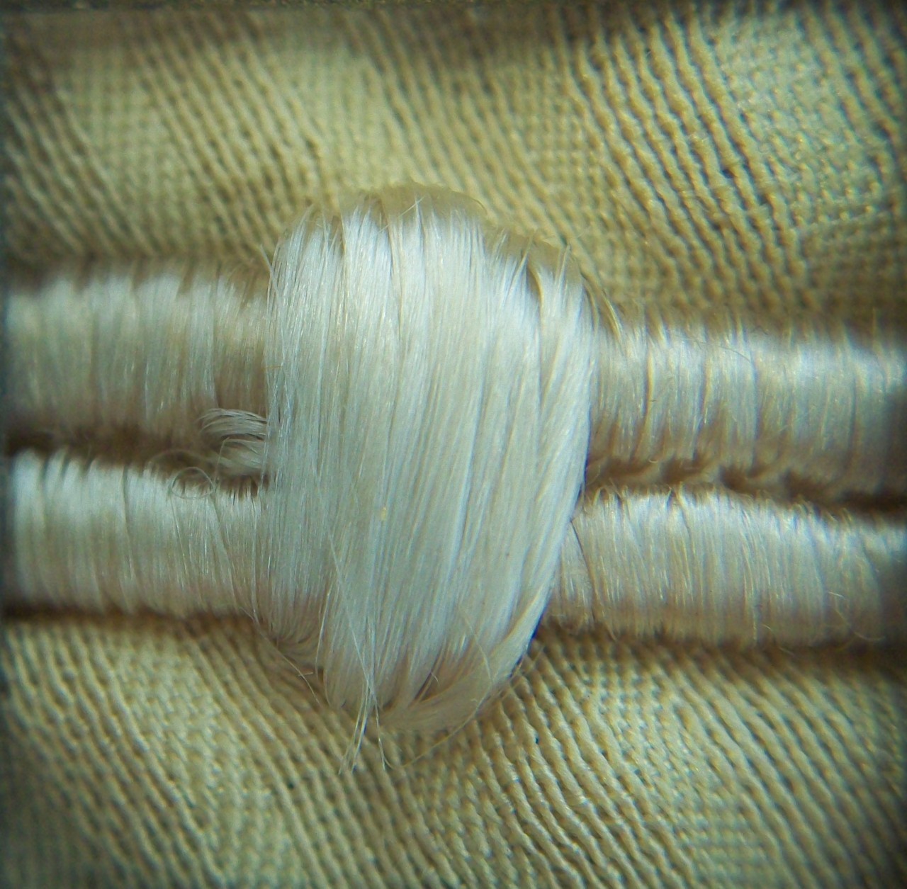 decorazione a ricamo, frammento di Genoni Rosa (attribuito) - ambito milanese (inizio sec. XX)