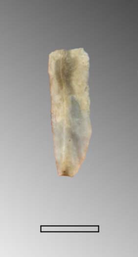 lama-raschiatoio (Paleolitico Superiore - Epigravettiano finale)