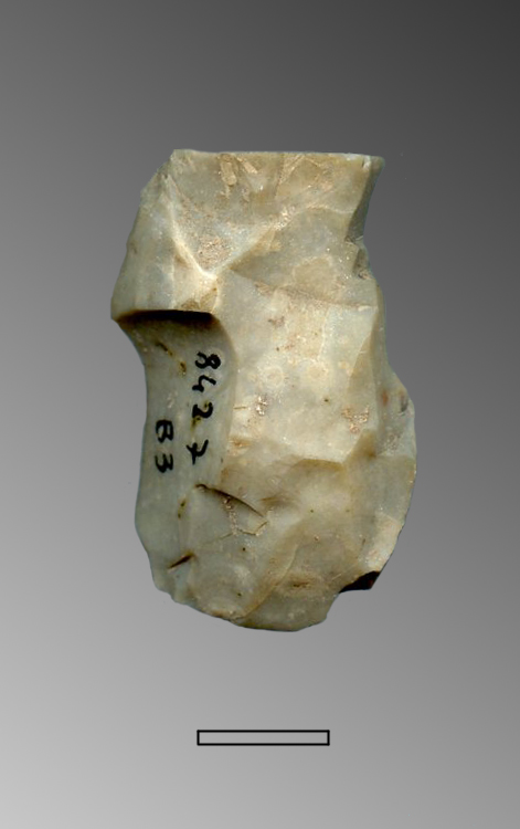 nucleo (Paleolitico Superiore - Epigravettiano finale)