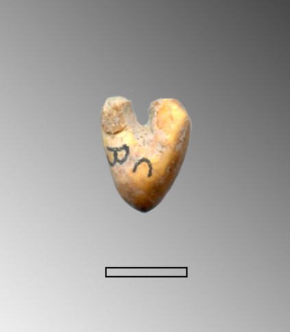 pendente (Paleolitico Superiore - Epigravettiano finale)