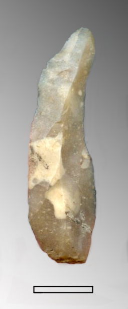 lama (Paleolitico Superiore - Epigravettiano finale)