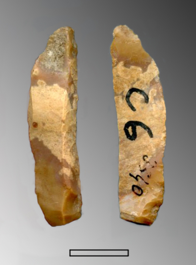 punta a dorso, totale (Paleolitico Superiore - Epigravettiano finale)