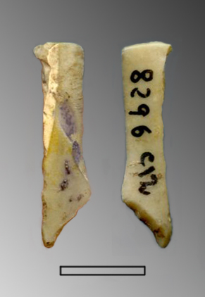 lama, a dorso e troncatura obliqua (Paleolitico Superiore - Epigravettiano finale)