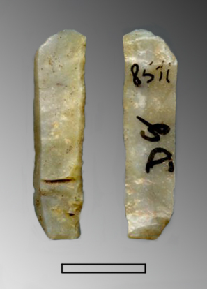 lama, a dorso (Paleolitico Superiore - Epigravettiano finale)