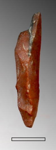 lama, a cresta (Paleolitico Superiore - Epigravettiano finale)